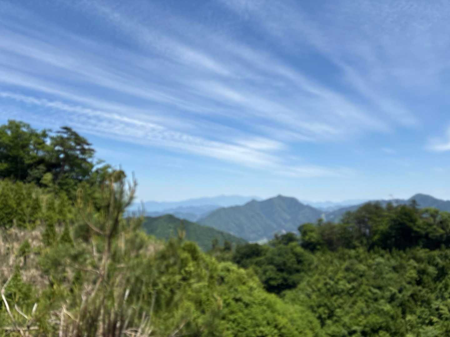 林道に出て　