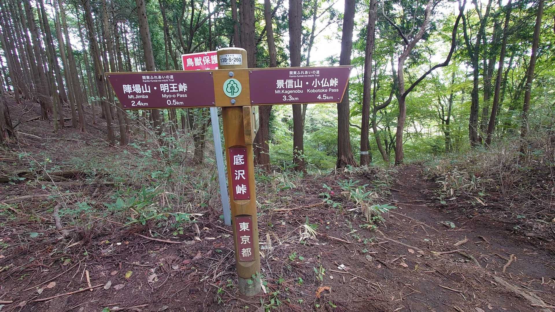 底沢峠〜🌲順調な歩き🐾