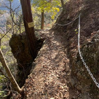 落ちたら終了。笑