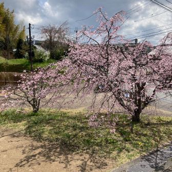 飛鳥
亀型石造物の入り口そば