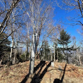 眺めはよくないかも！