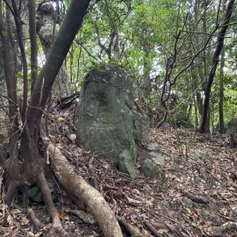 印象に残る岩っち