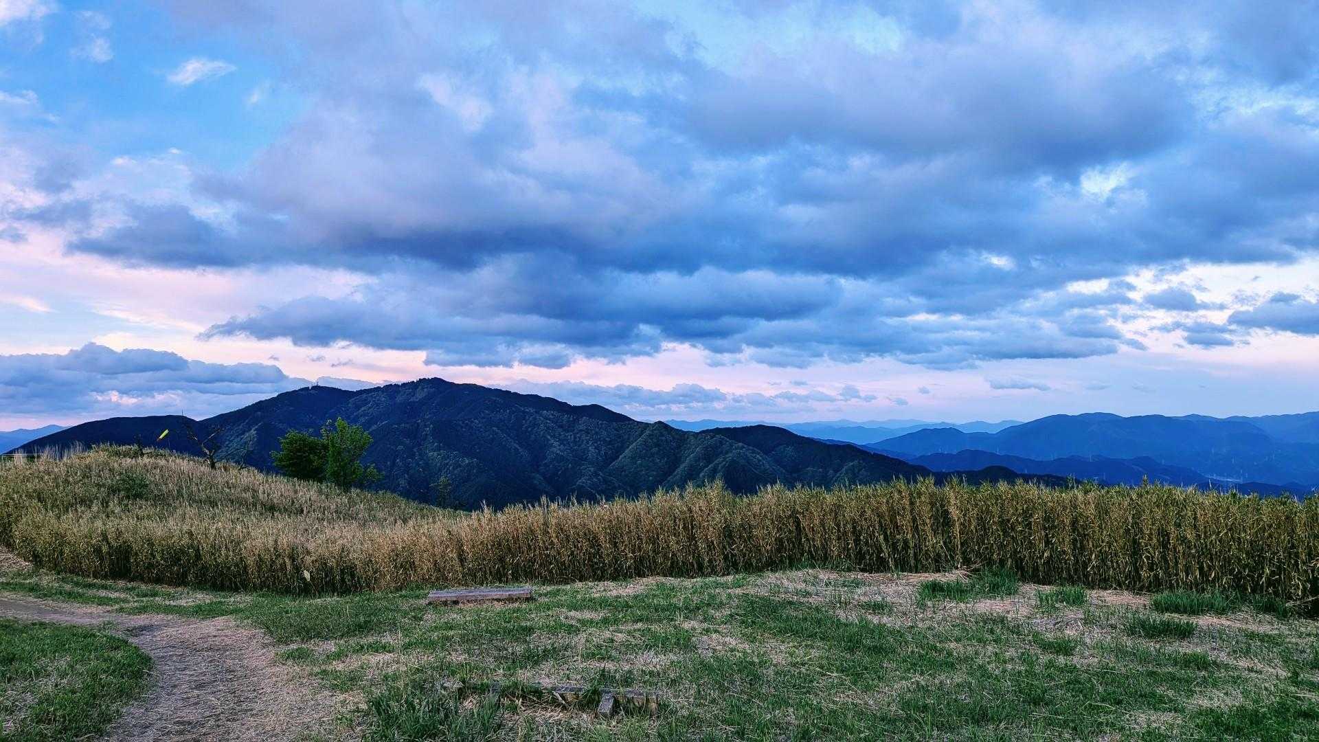 大和葛城山 往復コースの写真