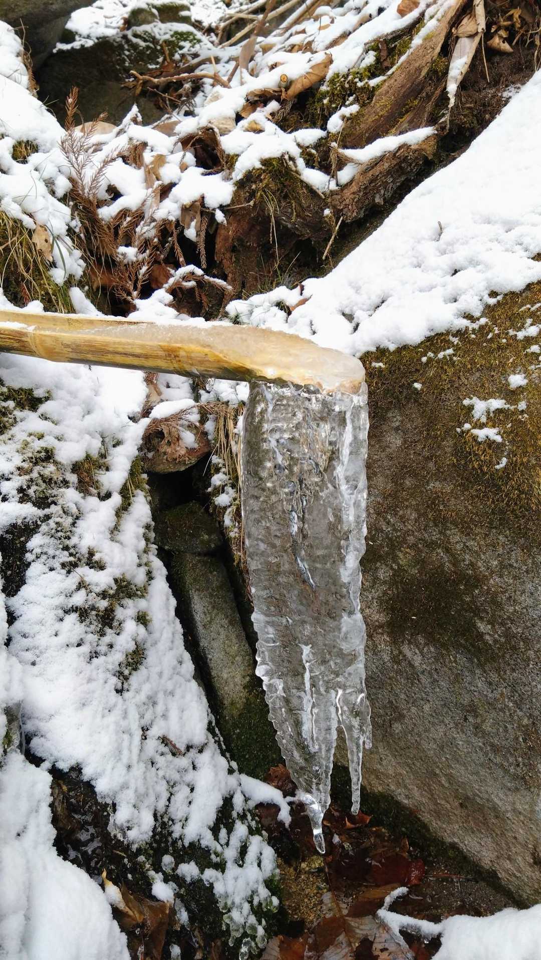 大きなつらら😍