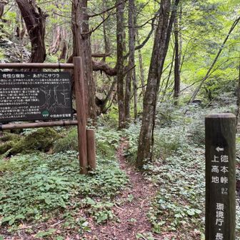 ササっとトレイル終了です。
史跡とかそれなりにあるかと思っていましたが、そんなに無く。