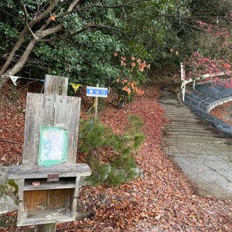登山口　駐車場からすぐ近く