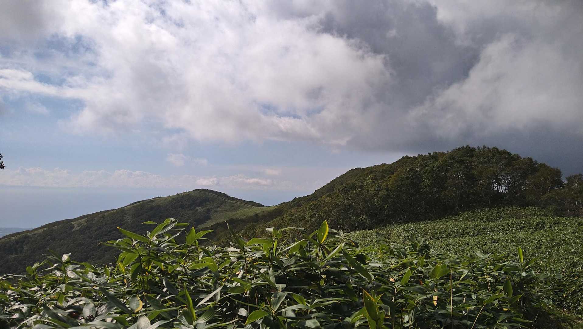 西尾根から降ります