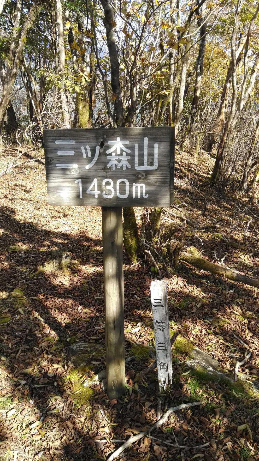 三ツ森山とうちゃこ～‼️