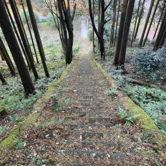 写真で見るより急な階段でした。