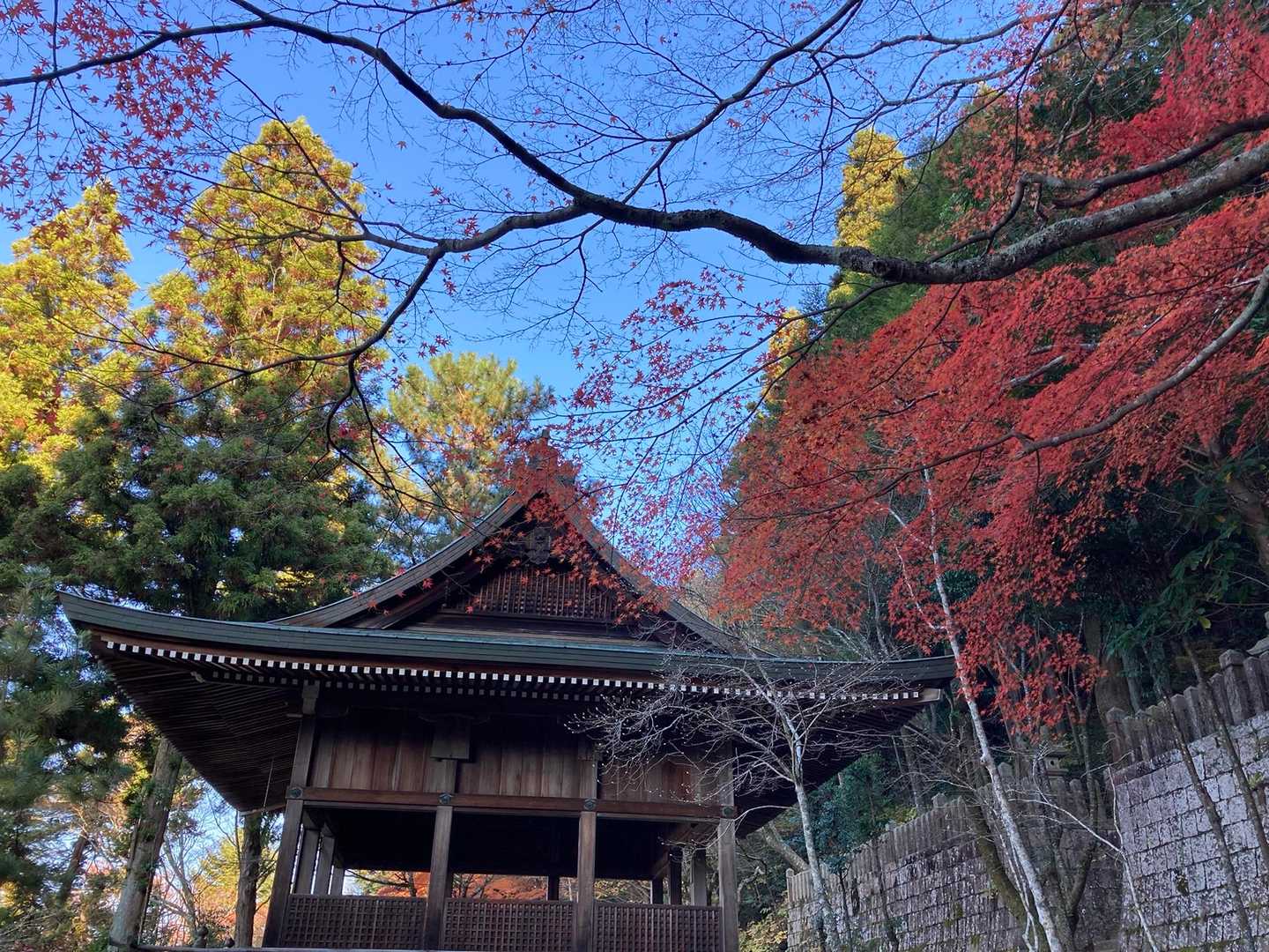 六甲越-虫地獄登山口 縦走コースの写真