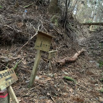 この辺りがランドマークのようです