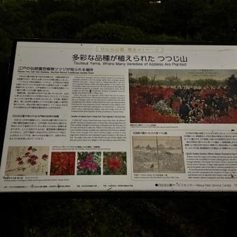 日比谷公園がグレーピークなのです