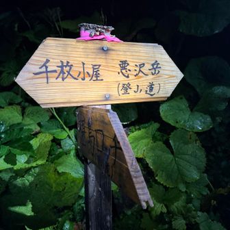 2日目スタート