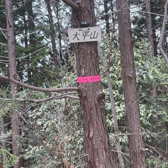 大平山山頂⛰️