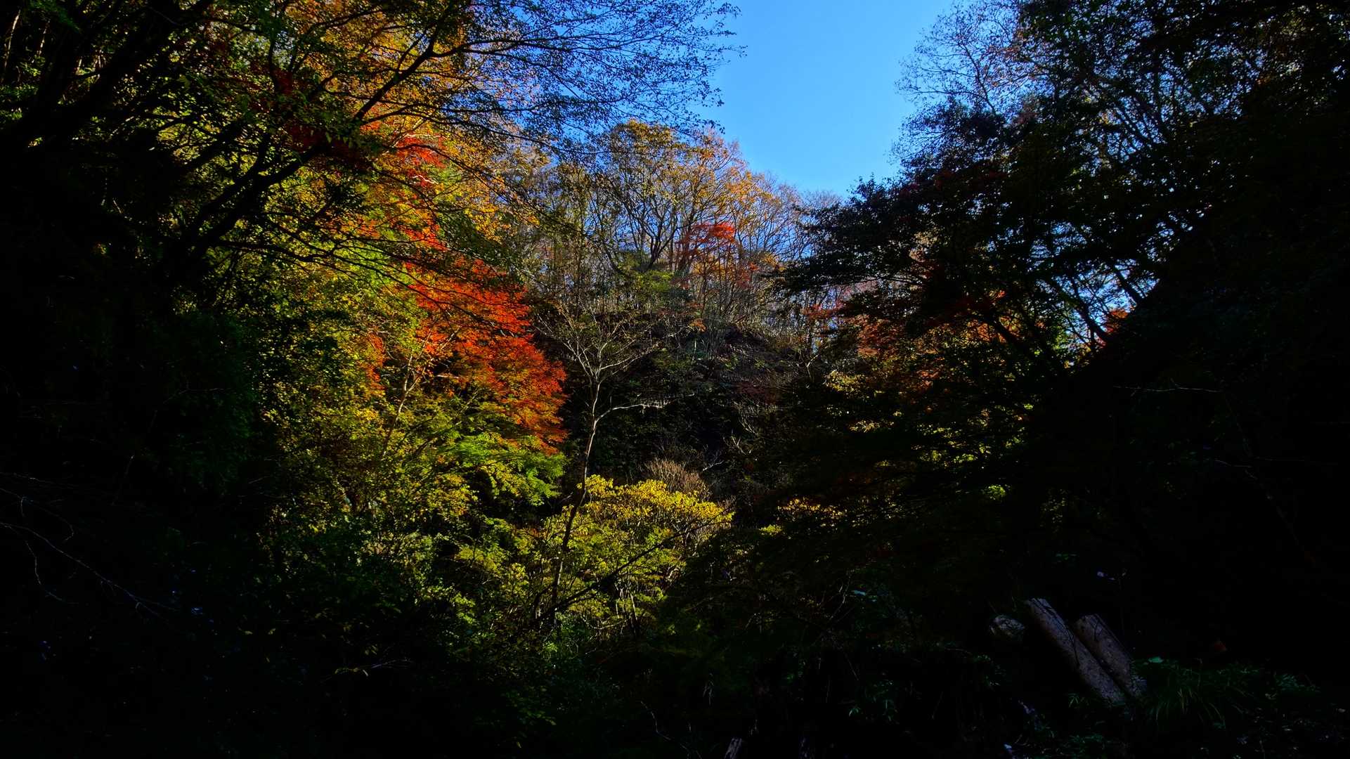 梅ヶ瀬渓谷 散策コースの写真