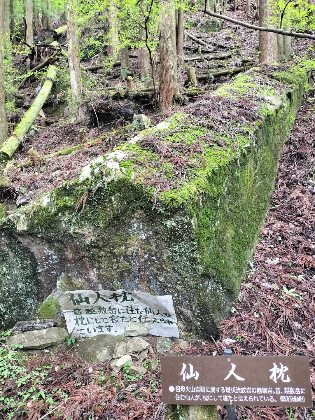 越敷岳 往復コースの写真