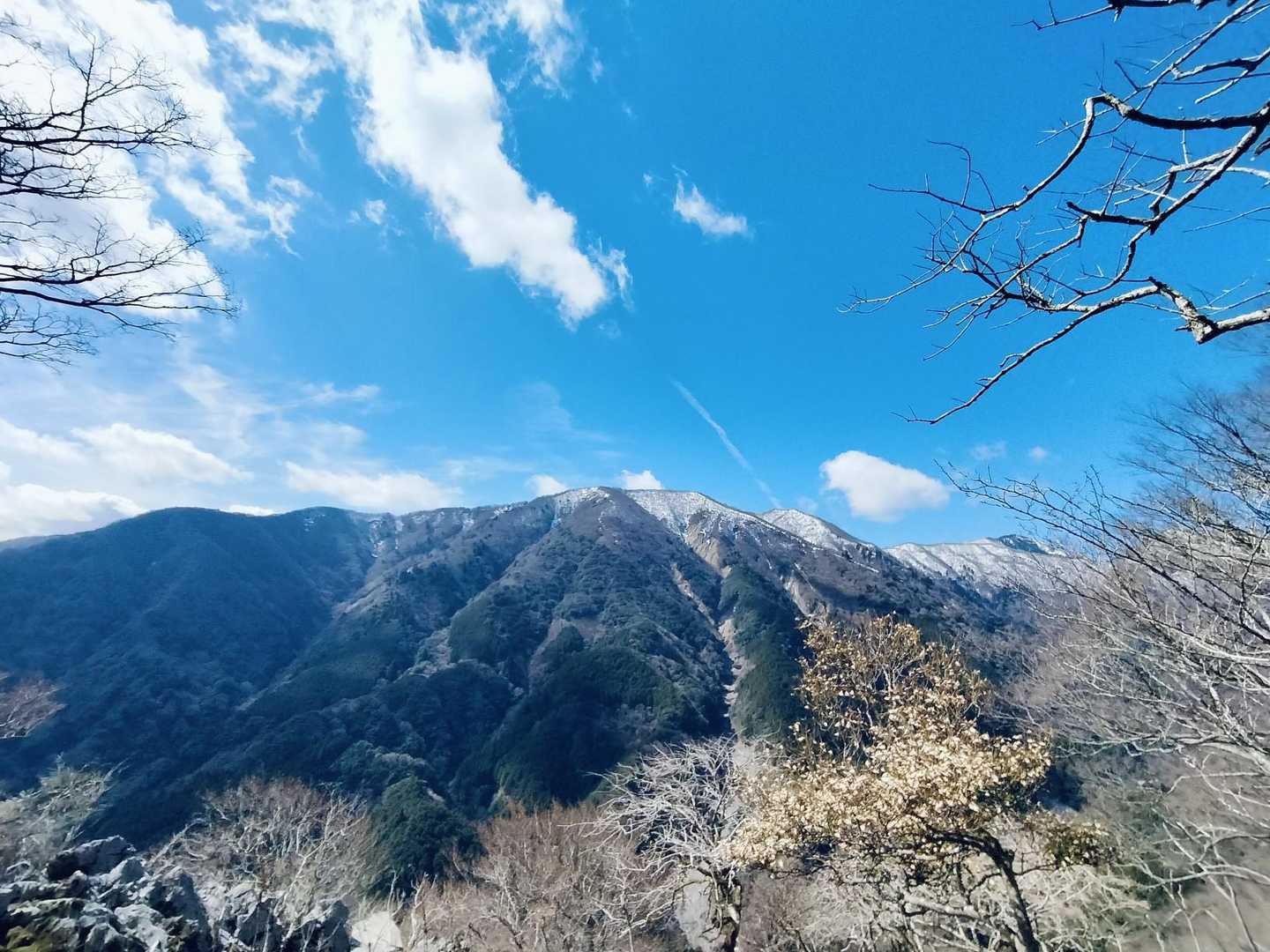 花もいいし稜線もいい〜🤤🤤