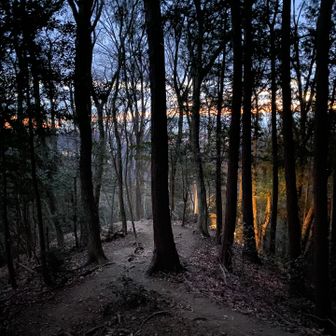 少し明るくなってきました
右の方の明かりは、登ってくる人のヘッデン（懐中電灯かも？）です
