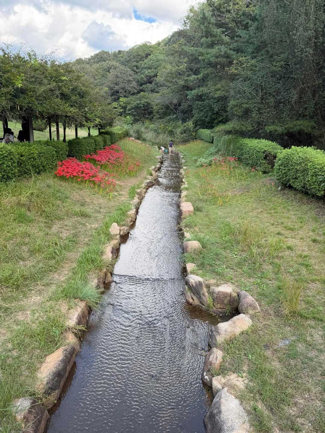 御領山 周回コースの写真