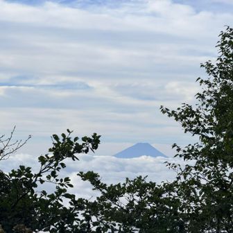 確かに雲海が見えました