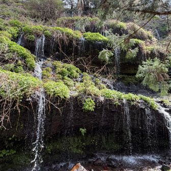 たくさんの滝が流れてます
