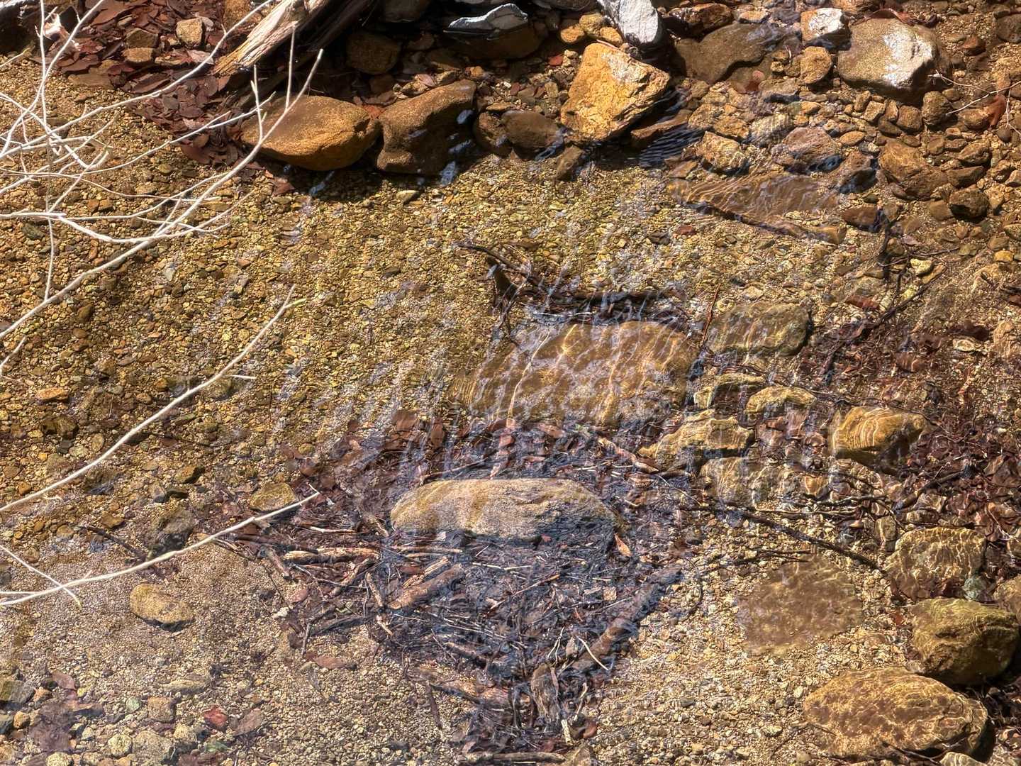 丹沢のお水ってキレイ✨