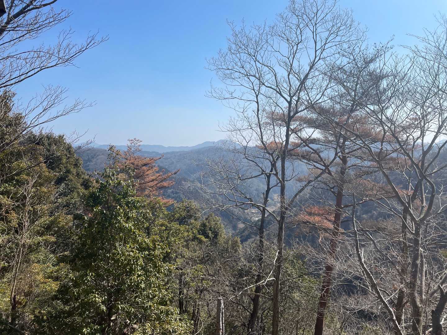 犬鳴山（山口県山口市）の写真