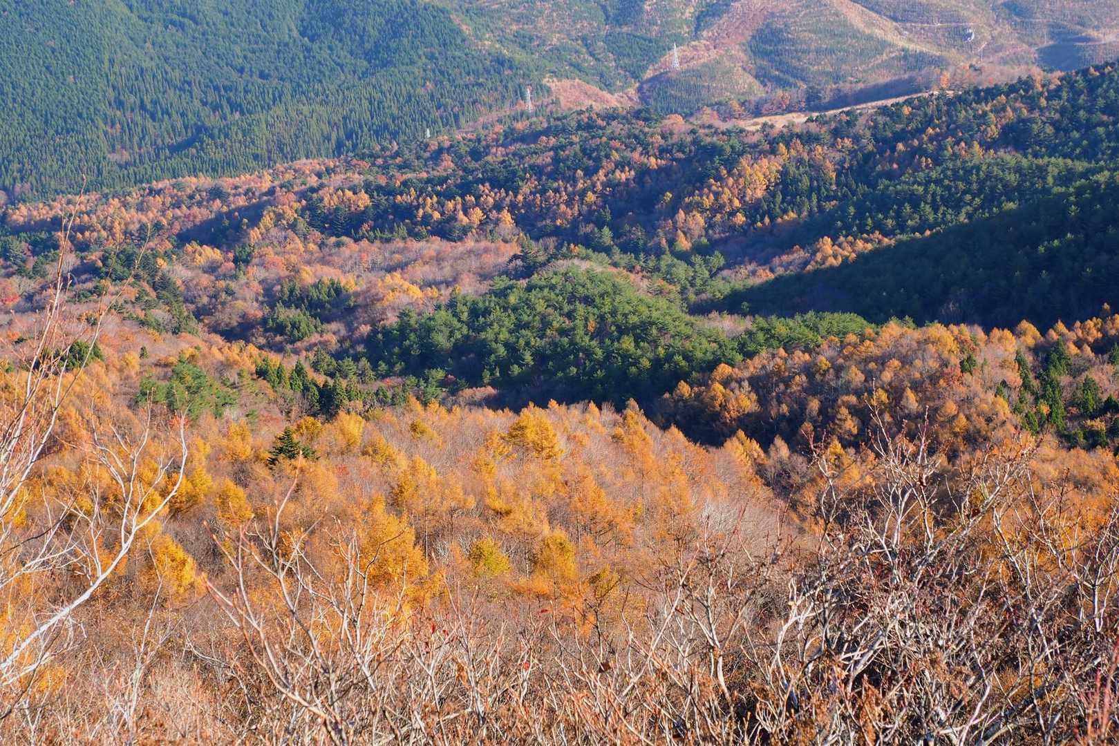 いわき市 いわきの里 鬼ヶ城-鬼ヶ城山登山口-鬼ヶ城山 周回コースの写真