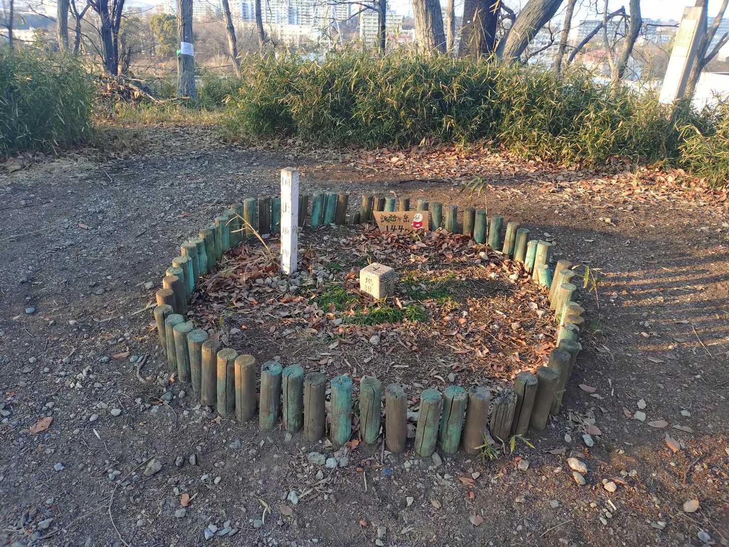 諏訪ヶ岳-古道五差路 縦走コースの写真