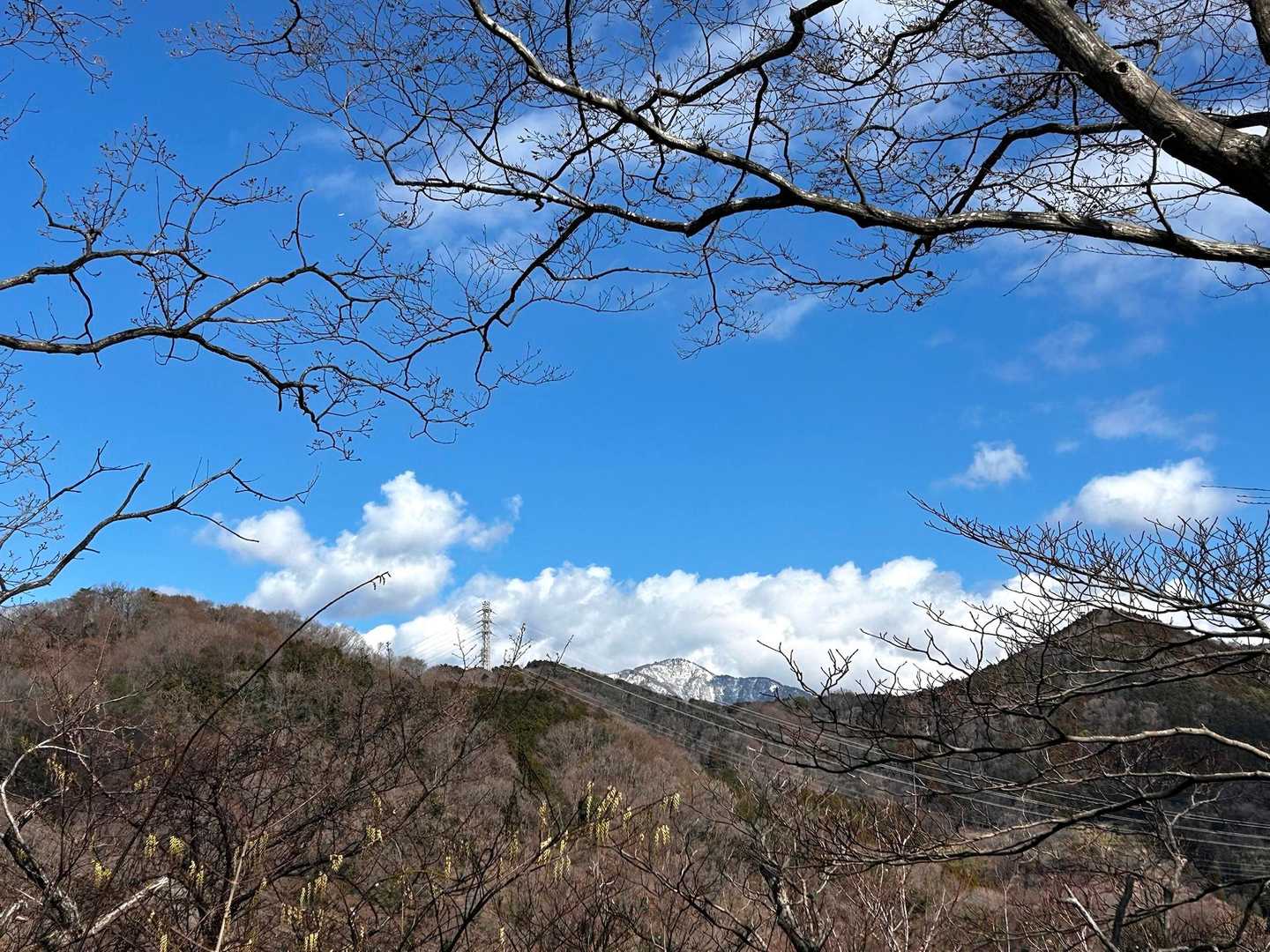 ☀️晴れてるけど丹沢山系は
雲が近いね☁️