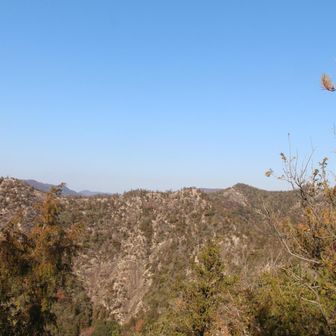 対岸に歩いて来た尾根筋です