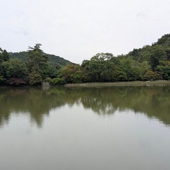 今日も満水の再度公園💧
ここで前を歩く方のザックに水色の「無事かえる」がくっついていた。結構揺れていたけど、外れそうな気配は全くしなかったよ。
私のはなんで外れたんだろう、今はお家でお留守番です🐸