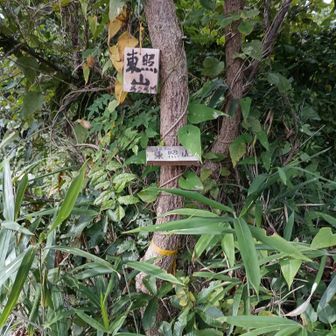 東照山山頂にゃ