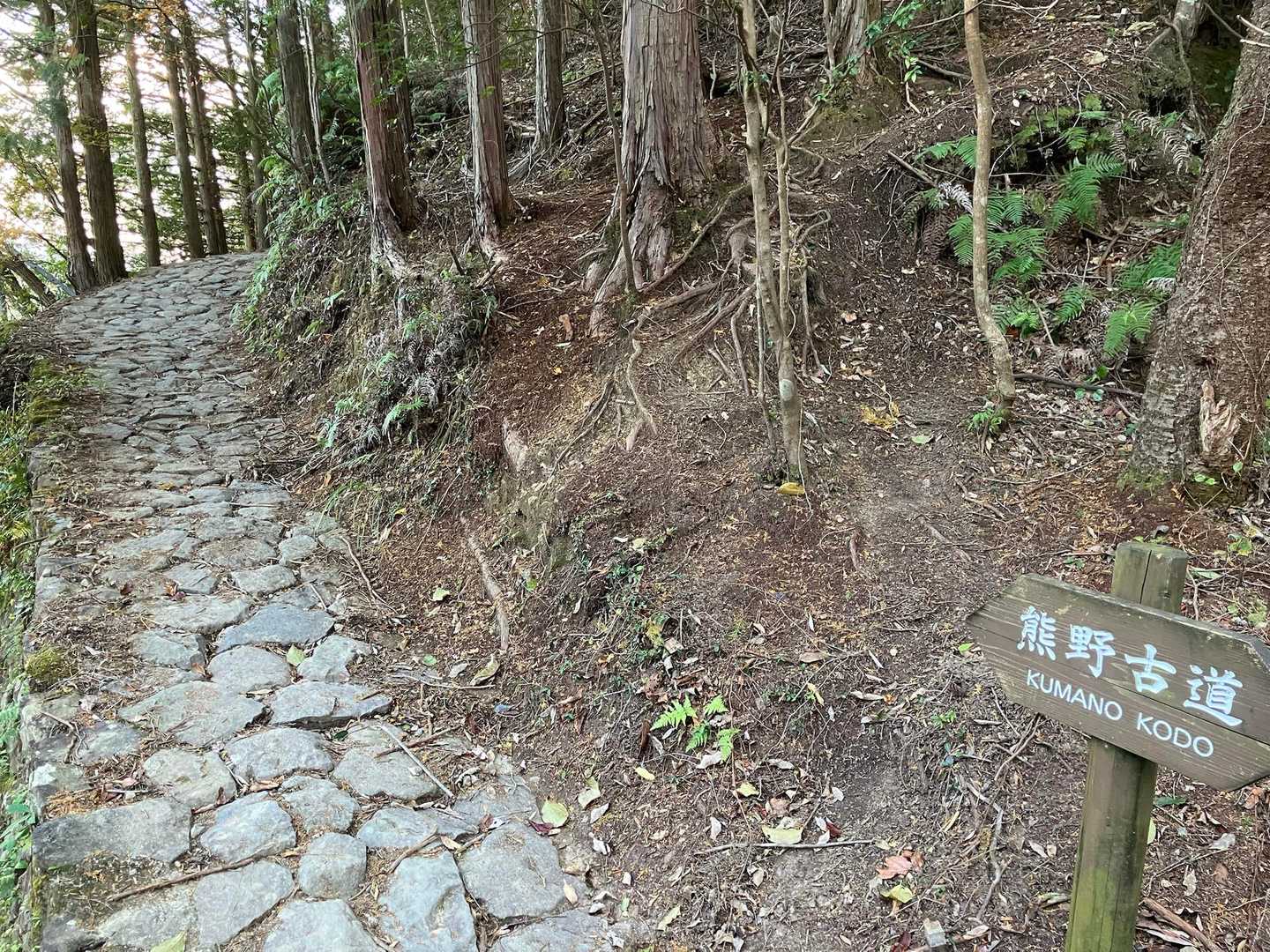 聖なる森で耳を澄ませる和歌山・熊野古道①コースの写真