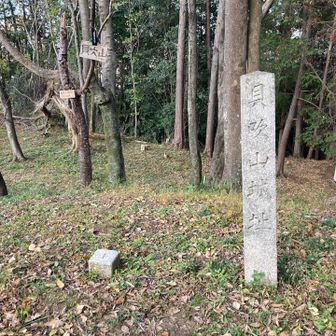 カンジョ古墳の横に貝吹山登山口
登山口には電気柵あり
貝吹山山頂
山頂は貝吹山城址