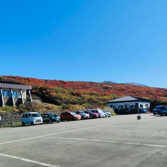 駐車場の車は少なくなりました。