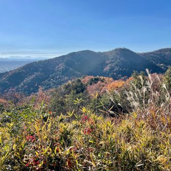 清水山からの眺め！太郎坊山方面⛰️