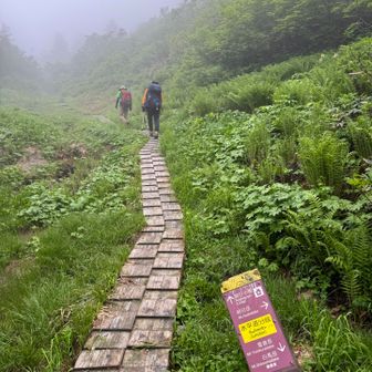 水平道最終部分