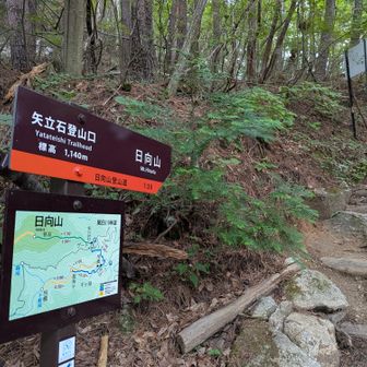 ここから本番