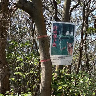 玲岩山　山頂標記無し