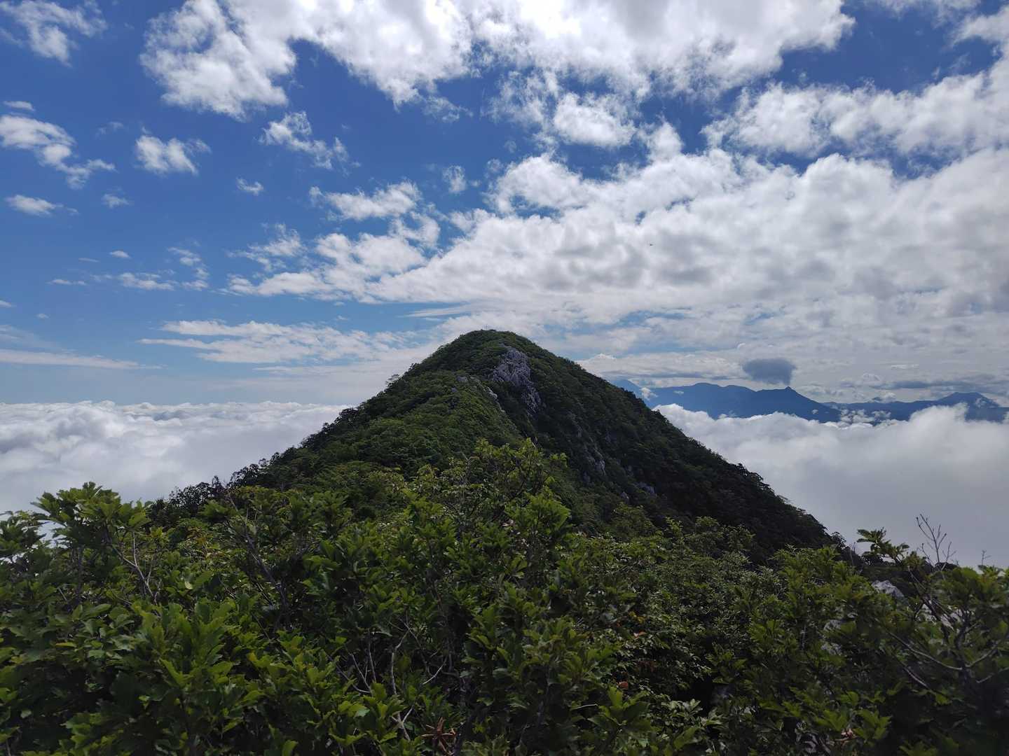 稜線に出たら山頂が見えた😀