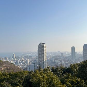 見晴らし展望台から