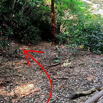 対馬見山へは矢印の方向に斜面を登る