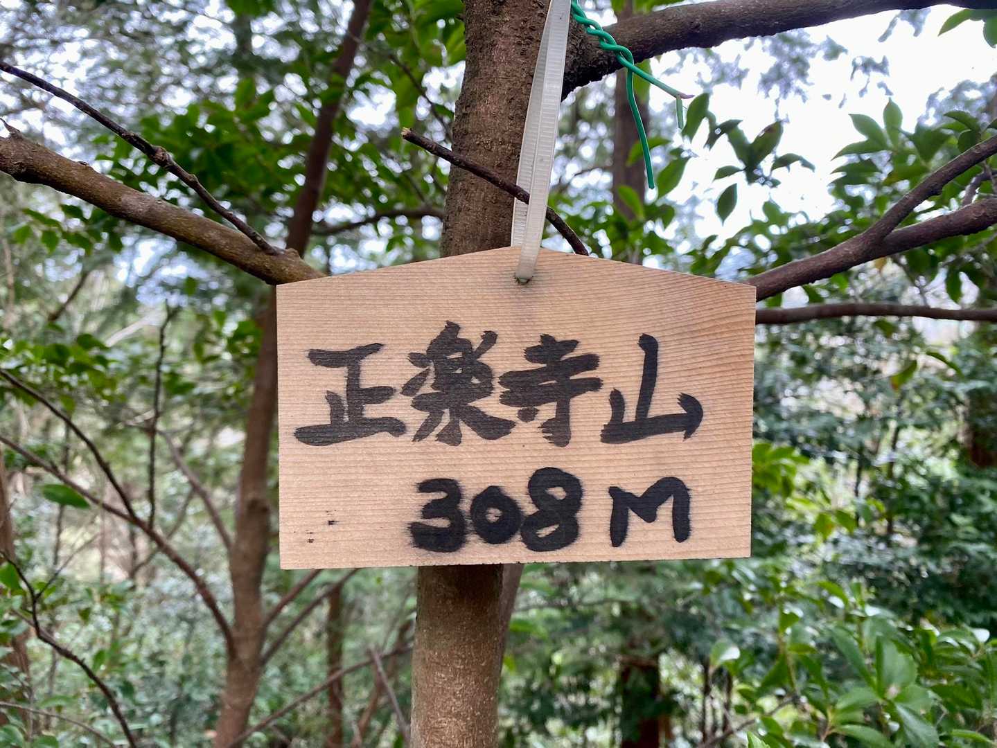 正楽寺山-本堂山 往復コースの写真