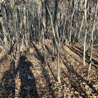 どこから降りればいいのかさっぱりですが、道を間違えないように適当に藪漕ぎして帰りました💨