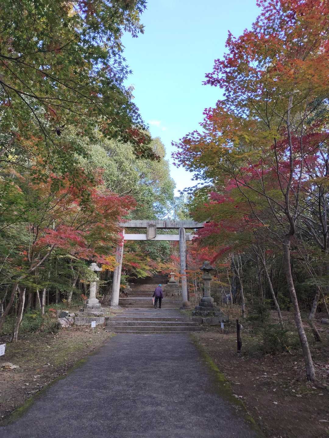 八幡神社の紅葉が始まっている