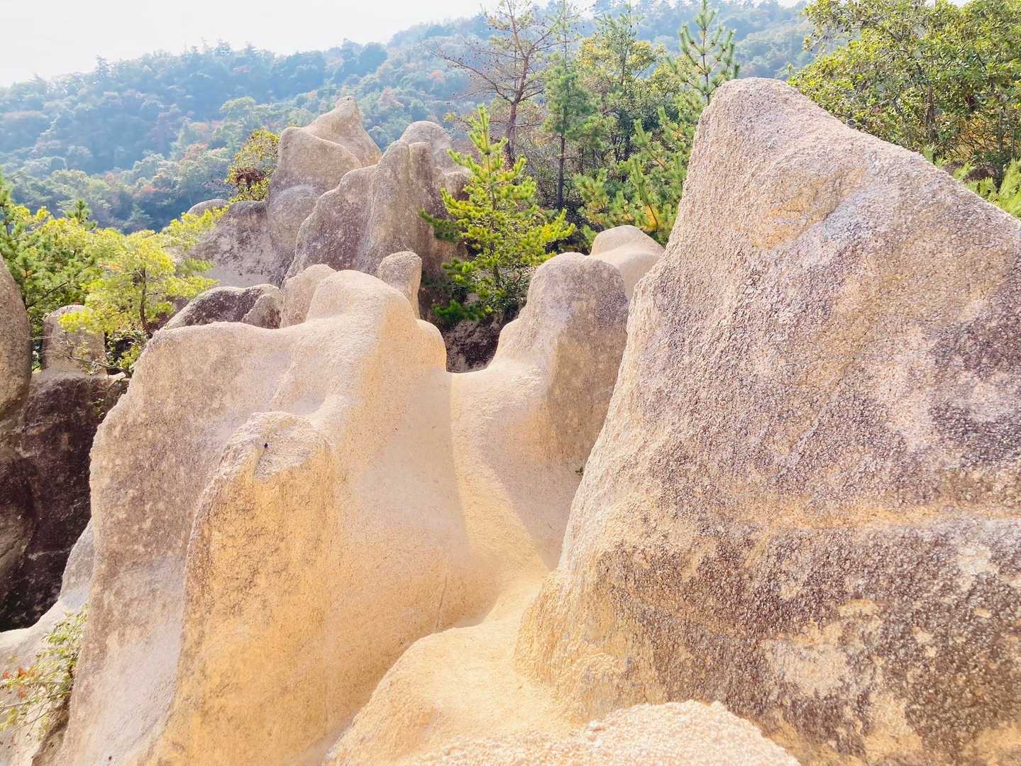 芦屋川駅-甲南山手駅 縦走コースの写真