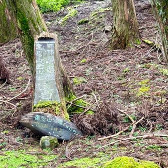 ここから登山道に入ります↗️