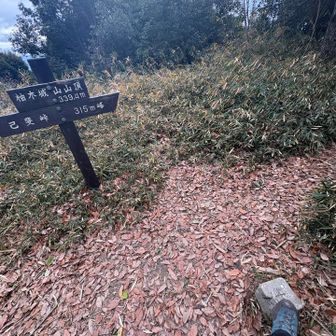 Good morning😁
柚木城山⛰️
＆
🔺