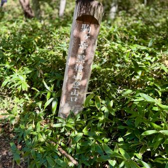 駒ヶ岳側の登山口…おつかれ山でしたぁ
